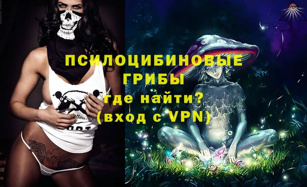 соль ск Карталы